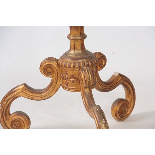 1148 - A LARGE 19th CENTURY CARVED GILT GESSO TORCHERE with acanthus leaf tapering stem supported on a   sc... 