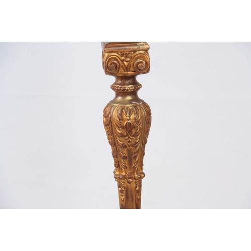 1148 - A LARGE 19th CENTURY CARVED GILT GESSO TORCHERE with acanthus leaf tapering stem supported on a   sc... 