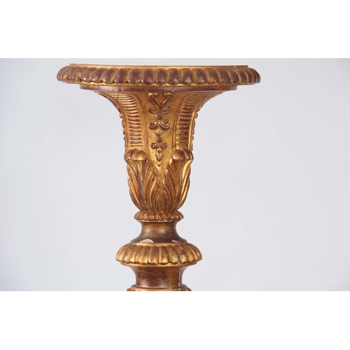 1148 - A LARGE 19th CENTURY CARVED GILT GESSO TORCHERE with acanthus leaf tapering stem supported on a   sc... 