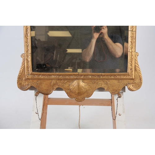 1238 - A GEORGE II GILT GESO HANGING MIRROR OF GENEROUS SIZE with a bevelled plate and leaf moulded border ... 