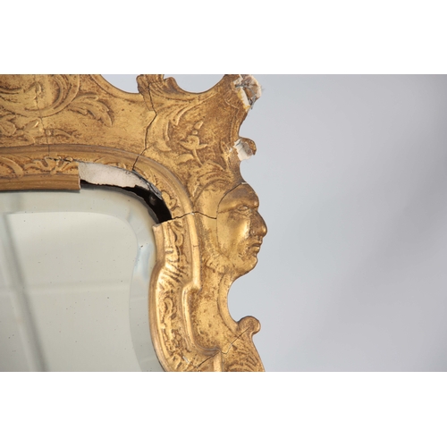 1238 - A GEORGE II GILT GESO HANGING MIRROR OF GENEROUS SIZE with a bevelled plate and leaf moulded border ... 