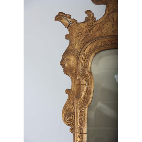 1238 - A GEORGE II GILT GESO HANGING MIRROR OF GENEROUS SIZE with a bevelled plate and leaf moulded border ... 