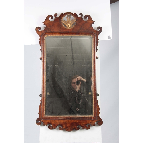 1293 - A LARGE GEORGE II WALNUT AND PARCEL GILT HANGING MIRROR with shaped fret cut frame and leaf carved m... 