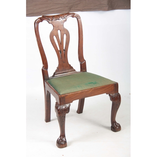 1298 - A GEORGE II MAHOGANY SINGLE SIDE CHAIR with shell carved top rail above a vase-shaped back splat wit... 