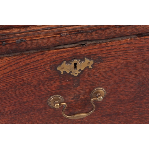 1308 - A MID 18TH CENTURY OAK HALL CUPBOARD with moulded cornice above a pair of arched fielded panel doors... 