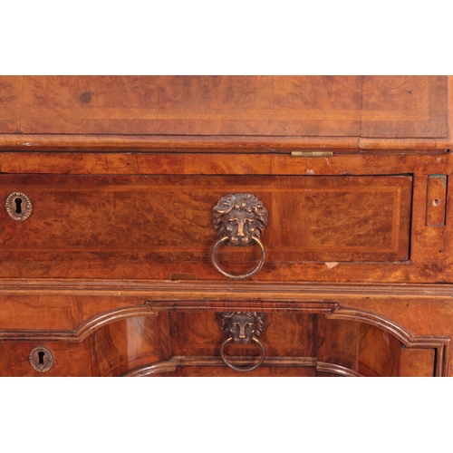 1311 - AN UNUSUAL LATE 17TH CENTURY TWO SECTIONAL BURR WALNUT BUREAU with double shaped kneehole to the fro... 