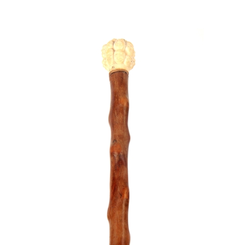 Lot 353       