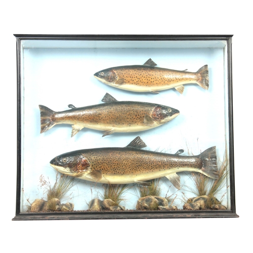 Lot 357       