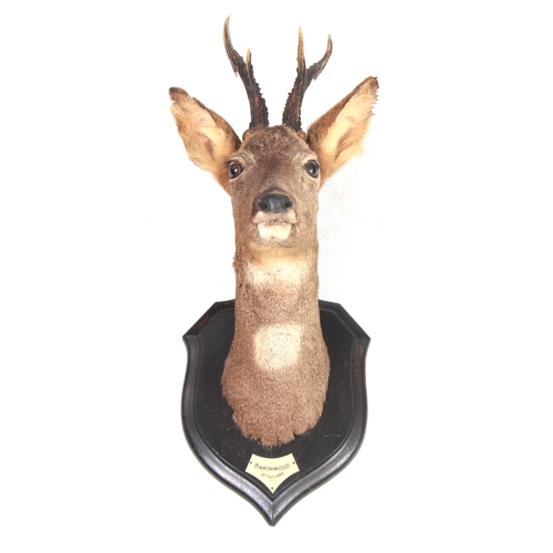 Lot 359       