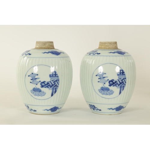 116 - A PAIR OF 19TH CENTURY CHINESE BLUE AND WHITE OVOID VASES the ribbed bodies decorated with panels de... 