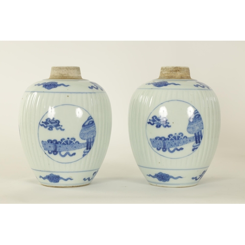 116 - A PAIR OF 19TH CENTURY CHINESE BLUE AND WHITE OVOID VASES the ribbed bodies decorated with panels de... 