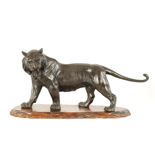 189 - A JAPANESE MEIJI PERIOD PATINATED BRONZE SCULPTURE modelled as a male tiger standing on a shaped har... 