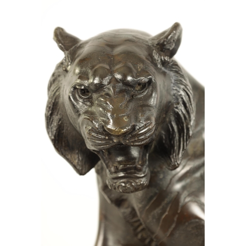 189 - A JAPANESE MEIJI PERIOD PATINATED BRONZE SCULPTURE modelled as a male tiger standing on a shaped har... 