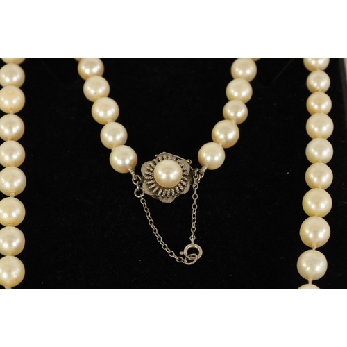 233 - A PEARL NECKLACE WITH 14CT WHITE GOLD CLASP fitted a safety catch and chain (81cm long)