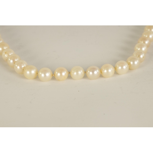 233 - A PEARL NECKLACE WITH 14CT WHITE GOLD CLASP fitted a safety catch and chain (81cm long)