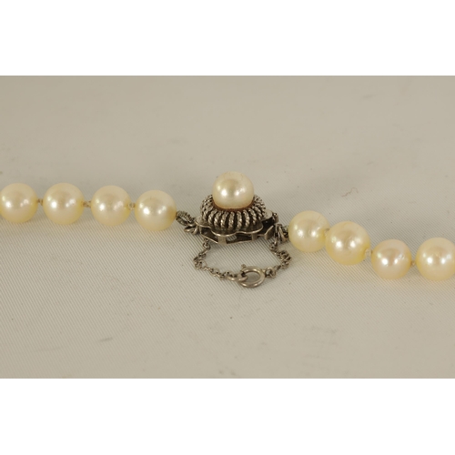 233 - A PEARL NECKLACE WITH 14CT WHITE GOLD CLASP fitted a safety catch and chain (81cm long)