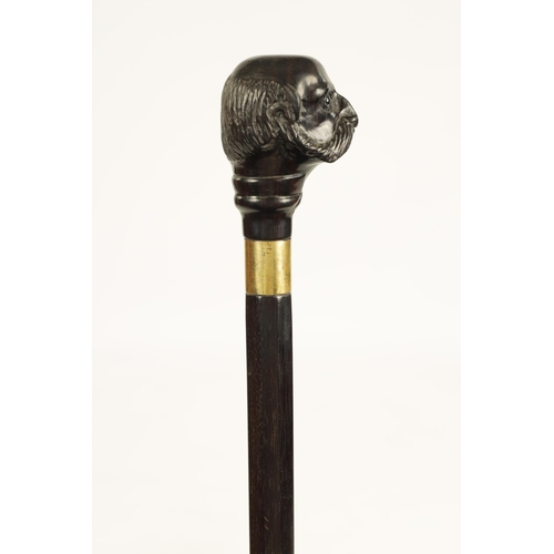 352 - A LATE 19TH CENTURY CARVED EBONY WALKING STICK depicting a bearded man with glass eyes (86.5cm overa... 