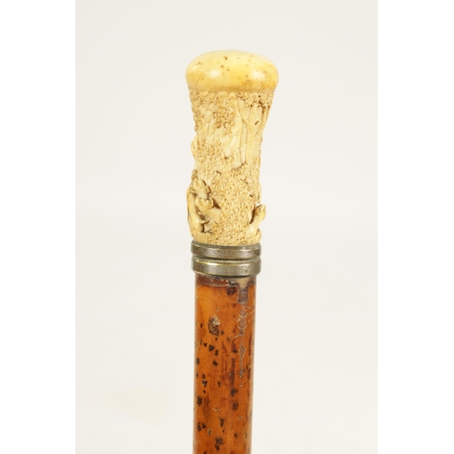 356 - A 19TH CENTURY CARVED IVORY AND MALACCA WALKING STICK the handle finely carved depicting a bear bein... 