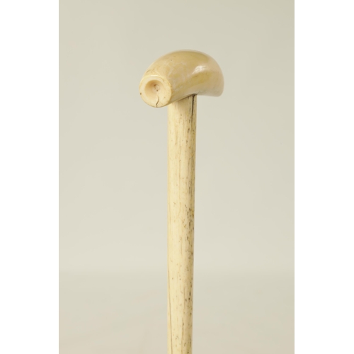 368 - AN EARLY 19TH CENTURY WHALE BONE WALKING STICK WITH WHALE TOOTH HANDLE of plain tapered form. (87.5c... 