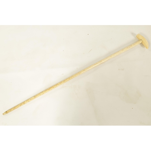 368 - AN EARLY 19TH CENTURY WHALE BONE WALKING STICK WITH WHALE TOOTH HANDLE of plain tapered form. (87.5c... 