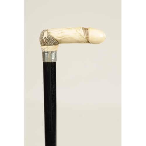 369 - A 19TH CENTURY CARVED IVORY AND EBONISED WALKING STICK with carved phallus handle initialled W.M.S -... 