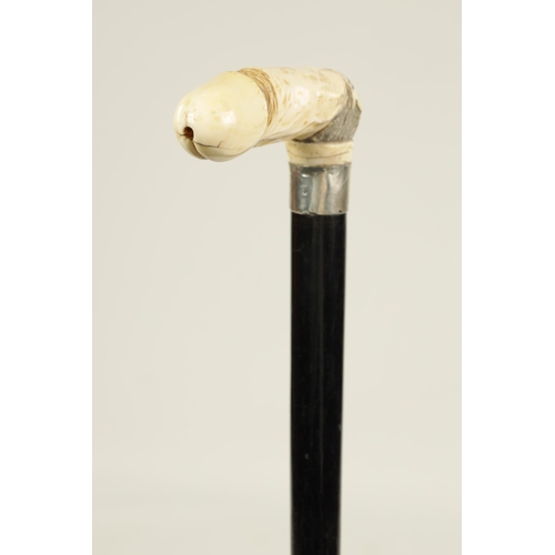 369 - A 19TH CENTURY CARVED IVORY AND EBONISED WALKING STICK with carved phallus handle initialled W.M.S -... 