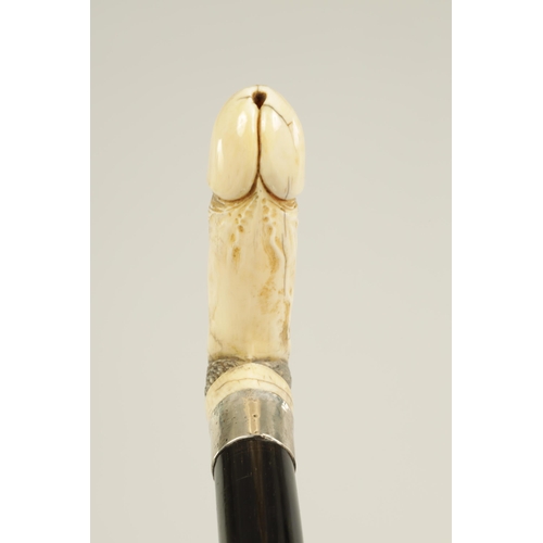 369 - A 19TH CENTURY CARVED IVORY AND EBONISED WALKING STICK with carved phallus handle initialled W.M.S -... 