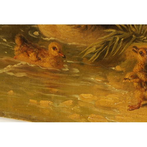 403 - A PAIR OF 19TH CENTURY OILS ON CANVAS DEPICTING GAME BIRDS of a family of Ducks and Partridge - unsi... 