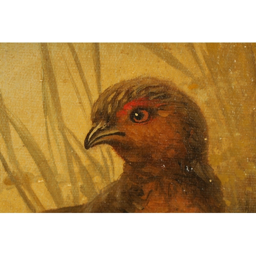 403 - A PAIR OF 19TH CENTURY OILS ON CANVAS DEPICTING GAME BIRDS of a family of Ducks and Partridge - unsi... 