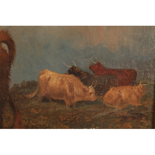 406 - COLIN GRAEME ROE (1858 - 1910) 19TH CENTURY OIL ON CANVAS highland cattle in a mountainous landscape... 