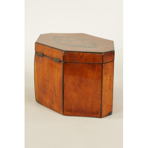 464 - A GEORGE III SATINWOOD OCTAGONAL SHAPED SHELL-INLAID TEA CADDY with conche-shell inlaid top above th... 