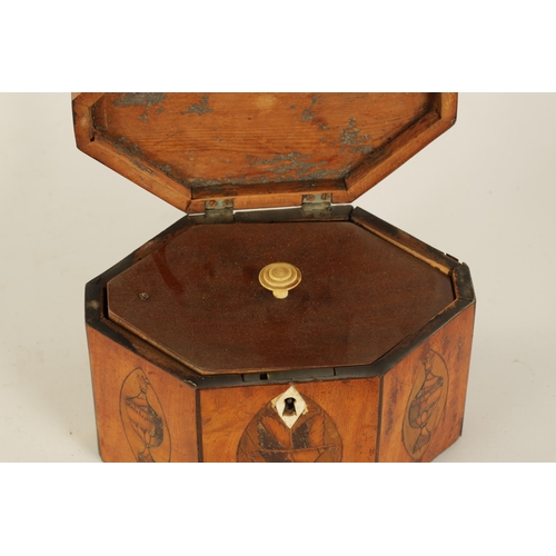 464 - A GEORGE III SATINWOOD OCTAGONAL SHAPED SHELL-INLAID TEA CADDY with conche-shell inlaid top above th... 