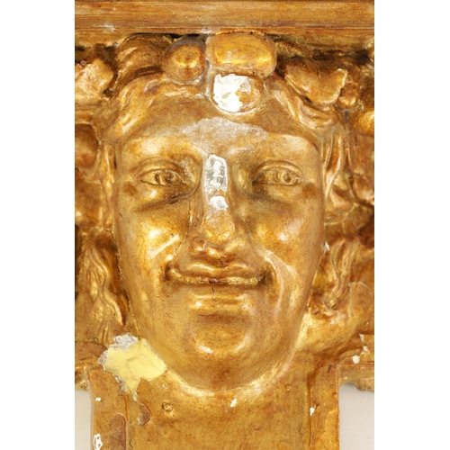 500 - AN 18TH CENTURY FRENCH CARVED MASK HEAD GILT GESSO WALL MOUNTED HANGING BRACKET (31.5cm wide 16.5cm ... 