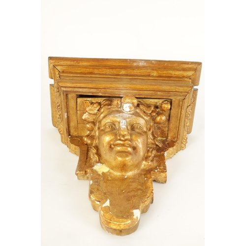 500 - AN 18TH CENTURY FRENCH CARVED MASK HEAD GILT GESSO WALL MOUNTED HANGING BRACKET (31.5cm wide 16.5cm ... 