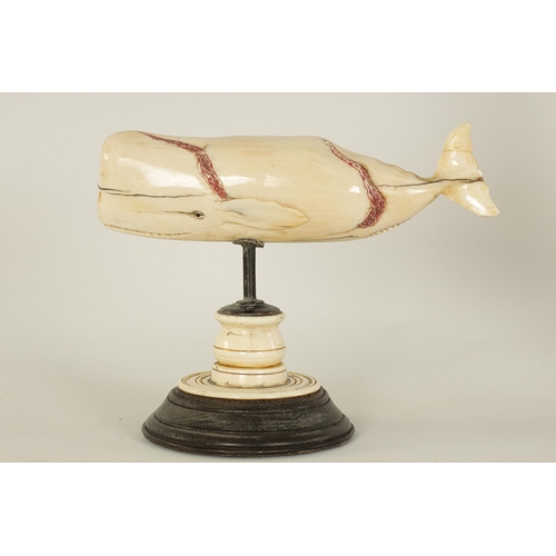 527 - A 19TH CENTURY SCRIMSHAW-CARVED MARINE IVORY SCULPTURE MODELLED AS A SPERM WHALE with scratch engrav... 