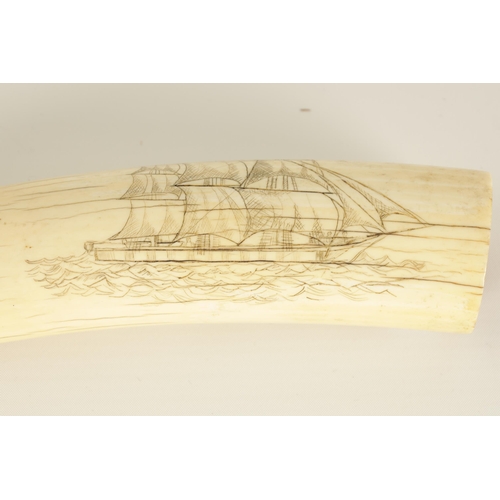 528 - A LARGE EARLY 19TH CENTURY WHALE'S TOOTH SCRIMSHAW with engraved decoration depicting a three-masted... 