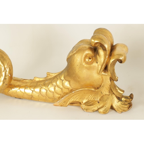 583 - A SET OF SIX REGENCY CARVED GILT GESSO CURTAIN POLE BRACKETS formed as dolphins. (46cm high )