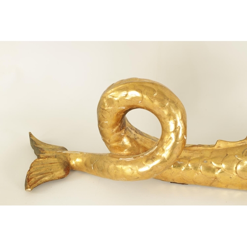 583 - A SET OF SIX REGENCY CARVED GILT GESSO CURTAIN POLE BRACKETS formed as dolphins. (46cm high )