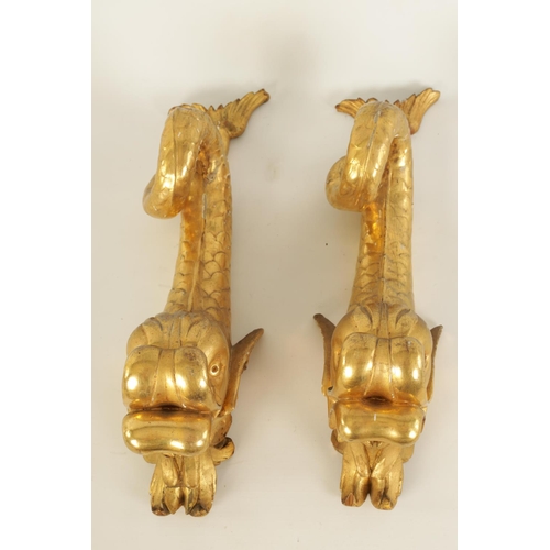 583 - A SET OF SIX REGENCY CARVED GILT GESSO CURTAIN POLE BRACKETS formed as dolphins. (46cm high )