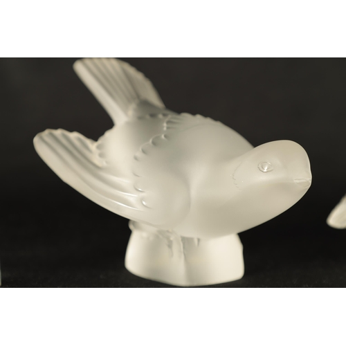 11 - A COLLECTION OF FOUR LALIQUE FRANCE FROSTED GLASS SCULPTURES comprising of a Swallow, Swan Wren and ... 