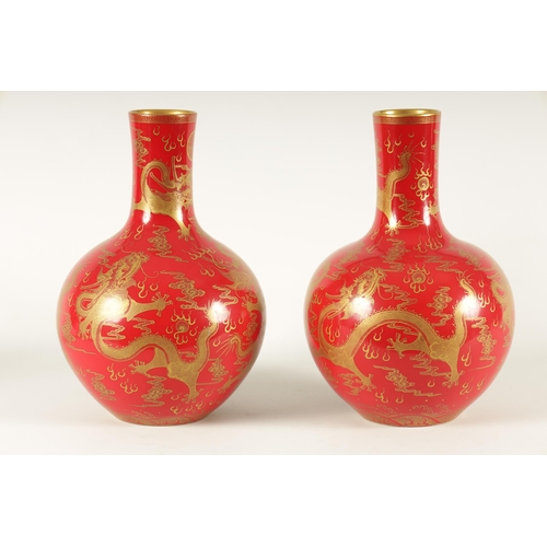 116 - A PAIR OF 19TH CENTURY CHINESE CORAL RED AND GILT DECORATED BOTTLE VASES decorated stylised five-cla... 