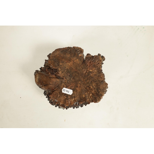 173 - A 19TH CENTURY CHINESE BURR ROOT WOOD BOWL with dug out centre. (20cm wide 17cm deep 9cm high )