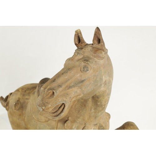 176 - A CHINESE EARTHENWARE MODEL OF A TANG HORSE with polychrome slip decoration (53cm high 55cm wide )