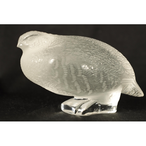 22 - A LALIQUE FRANCE FROSTED GLASS BIRD SCULPTURE modelled as a crouched Partridge - engraved signature ... 