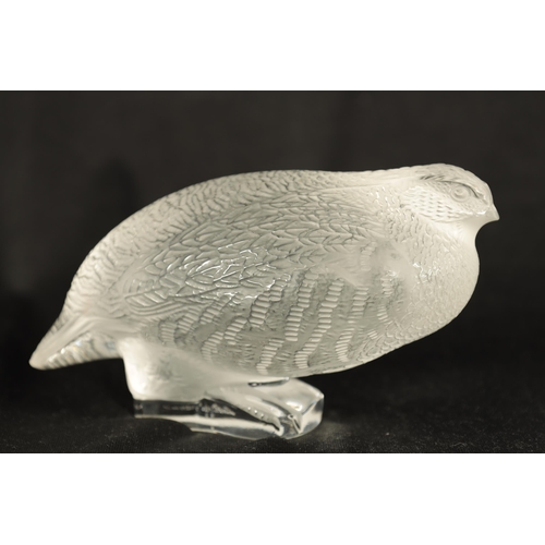 22 - A LALIQUE FRANCE FROSTED GLASS BIRD SCULPTURE modelled as a crouched Partridge - engraved signature ... 