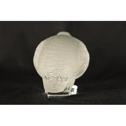 22 - A LALIQUE FRANCE FROSTED GLASS BIRD SCULPTURE modelled as a crouched Partridge - engraved signature ... 