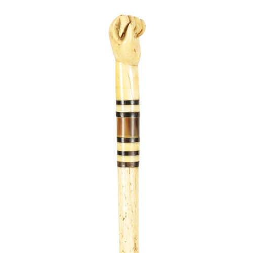 439 - A 19TH CENTURY WHALEBONE AND BALEEN BANDED WALKING STICK with sailors fist handle and tapering shaft... 