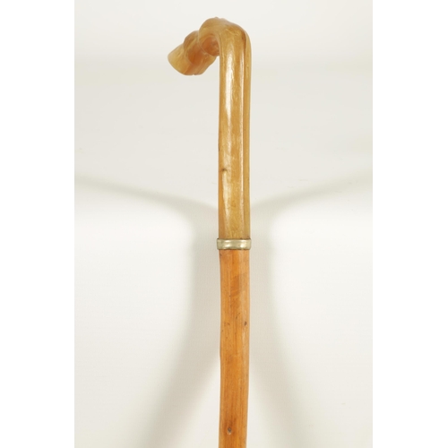 440 - AN EARLY 20TH CENTURY RHINOCEROS HORN HANDLED WALKING STICK the handle modelled as a horse's hoof on... 