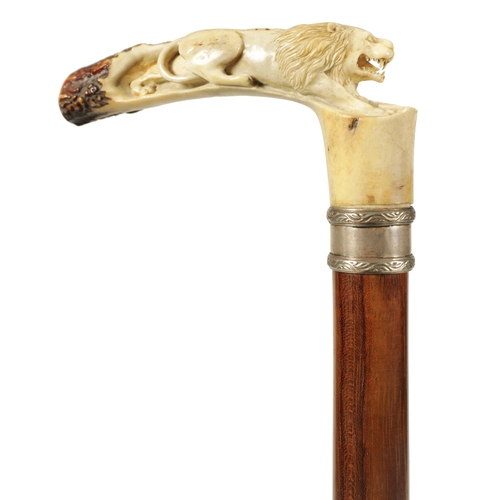 442 - A FINE LATE 19TH CENTURY CARVED ANTLER HORN WALKING STICK the finely carved handle depicting a lion,... 