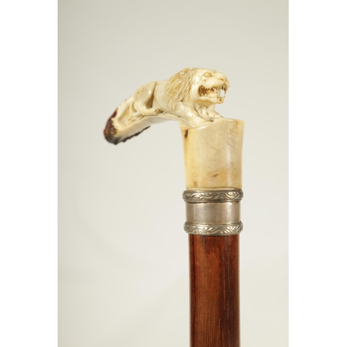 442 - A FINE LATE 19TH CENTURY CARVED ANTLER HORN WALKING STICK the finely carved handle depicting a lion,... 